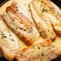 Pescado recién cocido con salsa de vino blanco