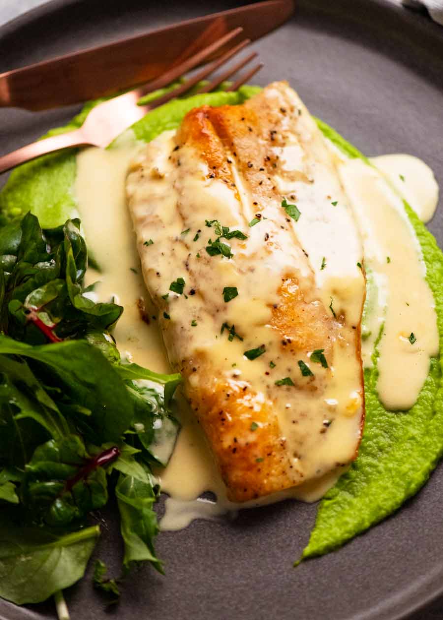 Plato con pargo braseado sobre puré de guisantes con salsa de vino blanco