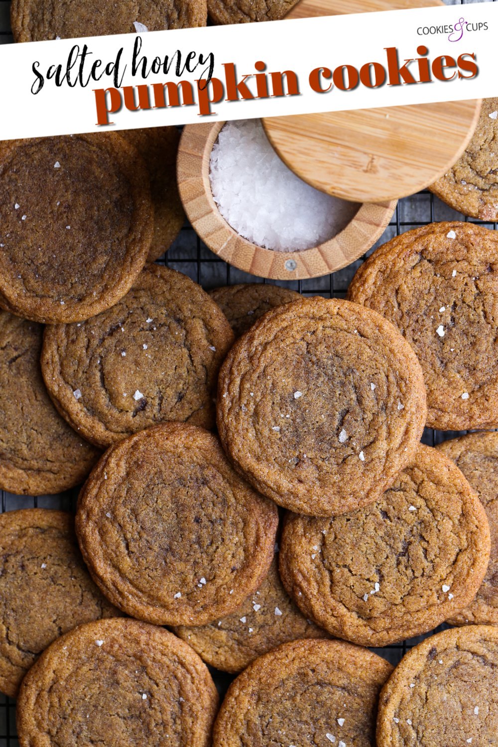 Imagen de Pinterest de galletas de calabaza masticables saladas