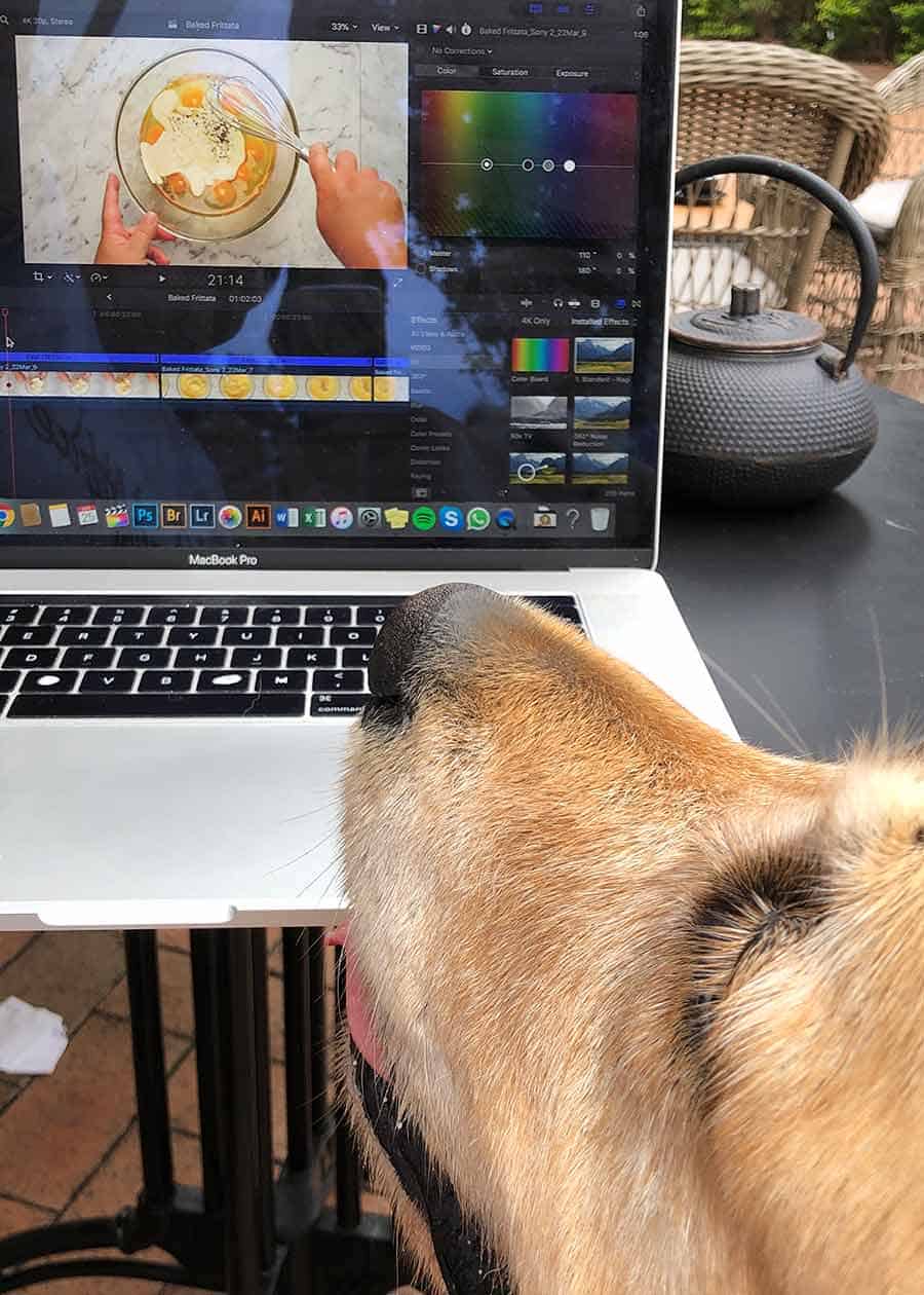 Dozer babeando sobre frittata video