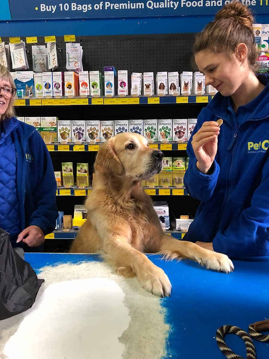 Topadora en Pet-O