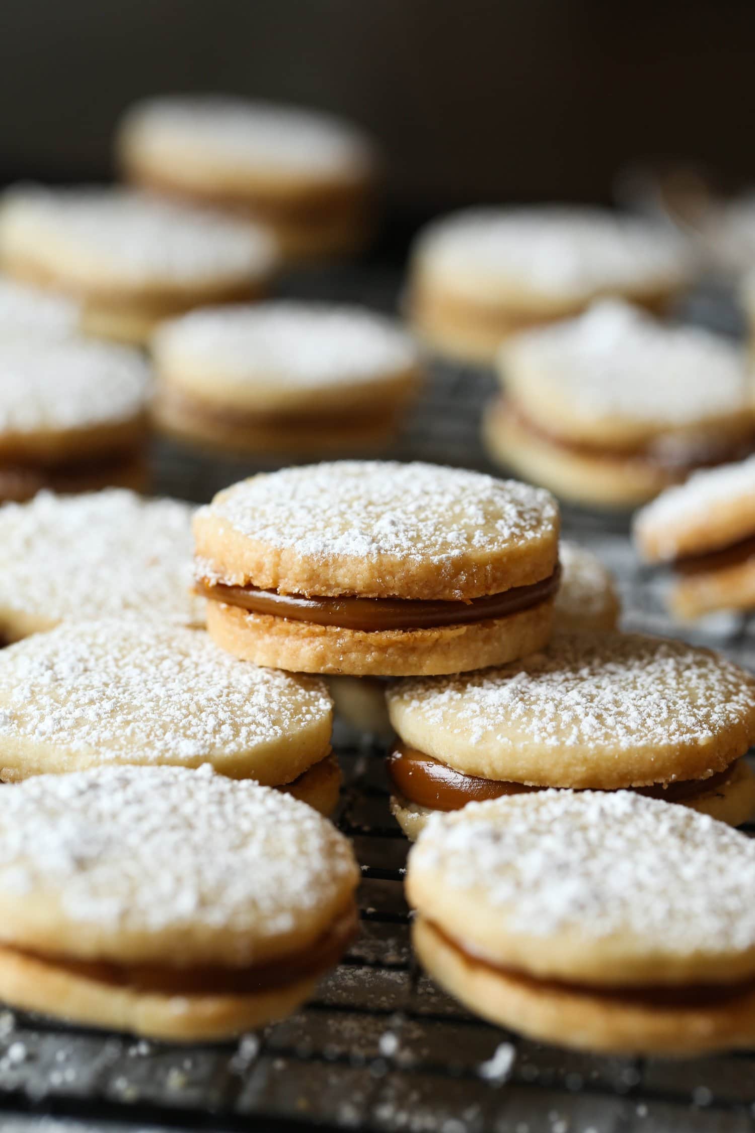 Galletas de alfajores espolvoreadas con azúcar glass, rellenas de dulce de leche.