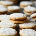Galletas de alfajores espolvoreadas con azúcar glass, rellenas de dulce de leche.
