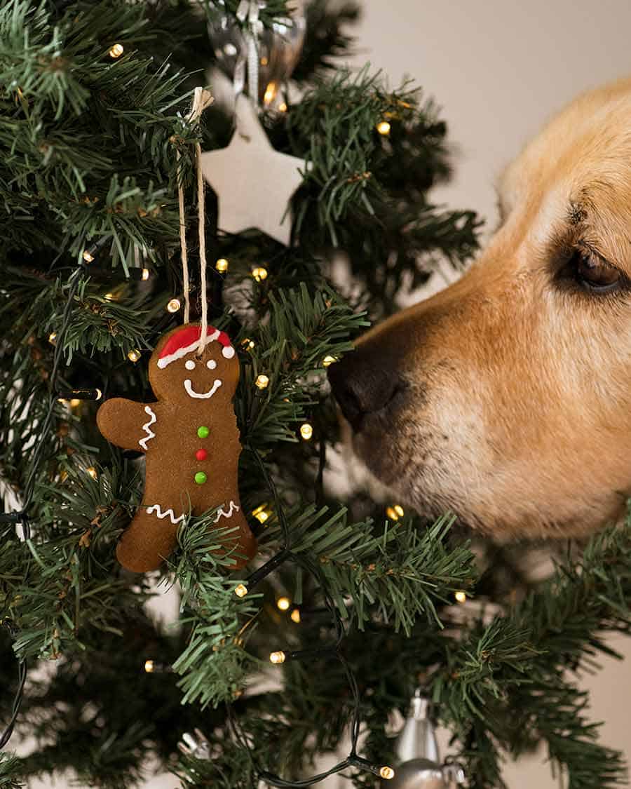 Adorno para árbol de Navidad de hombre de jengibre dozer
