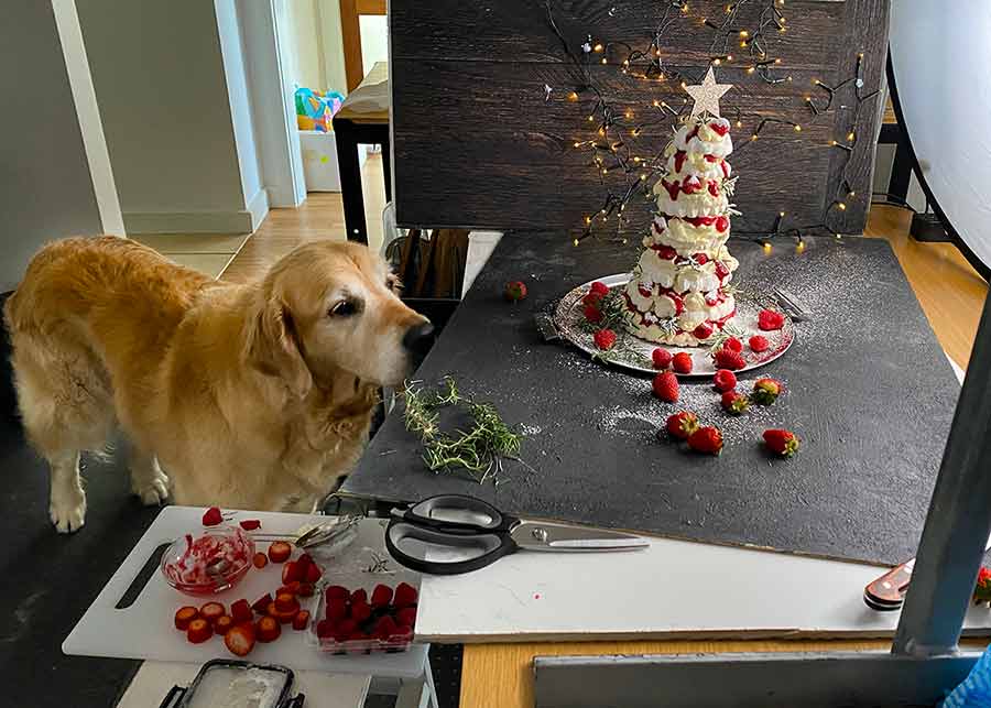 Postre de árbol de Navidad Dozer Pavlova