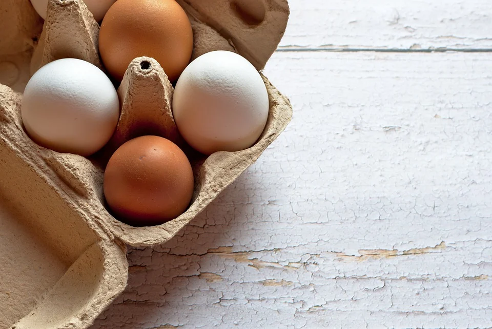 Recetas con huevo
