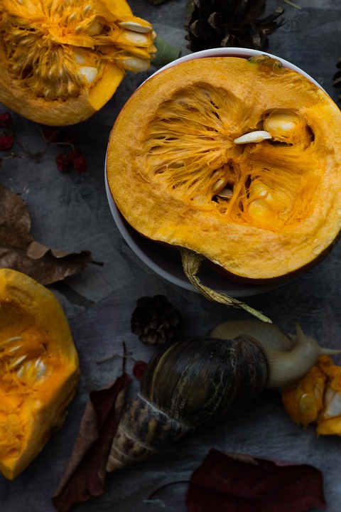 Recetas con calabaza fáciles de preparar 2 Recetas con calabaza