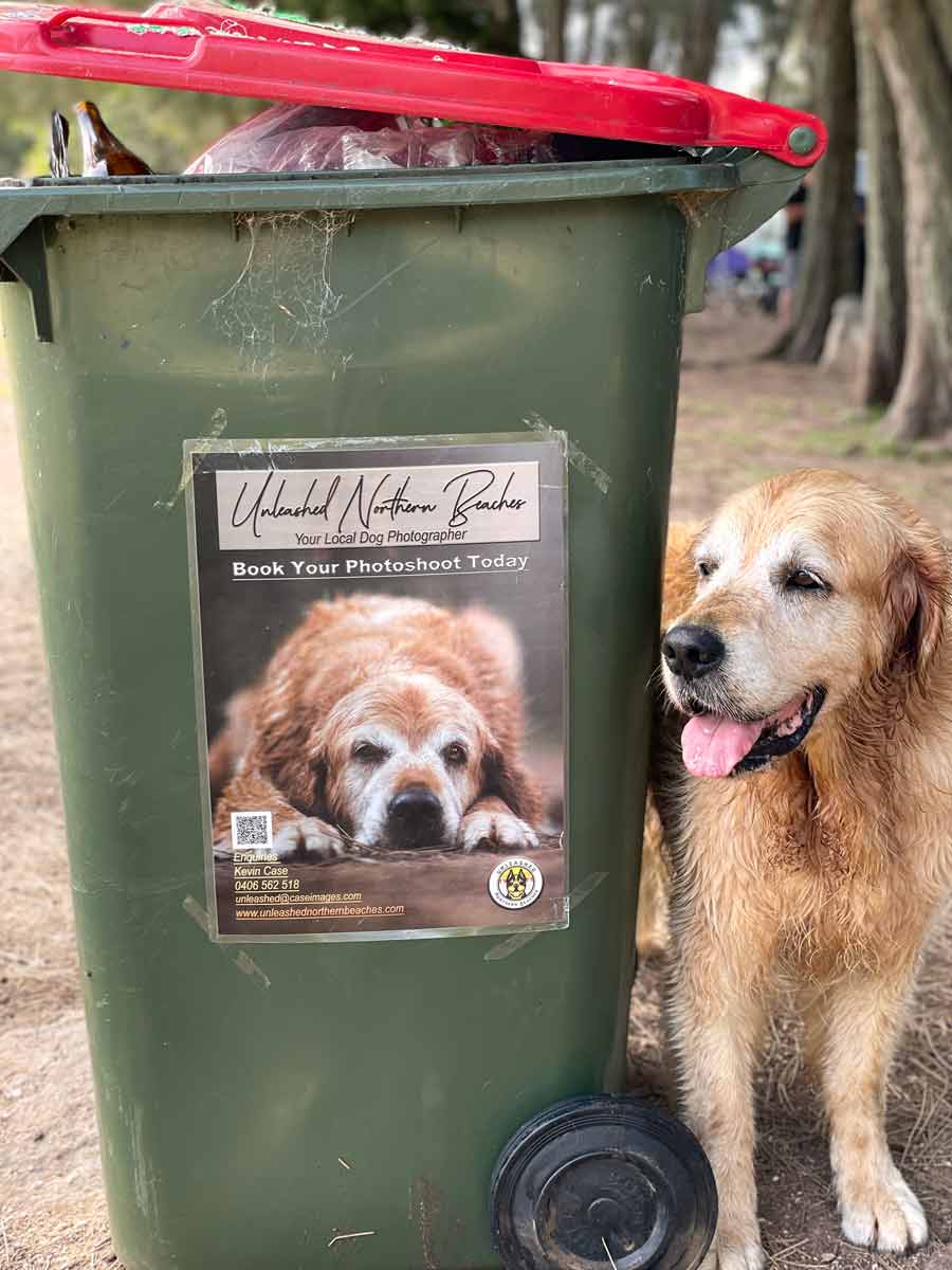 Publicación de Dozer en el cubo de basura de caca de perro