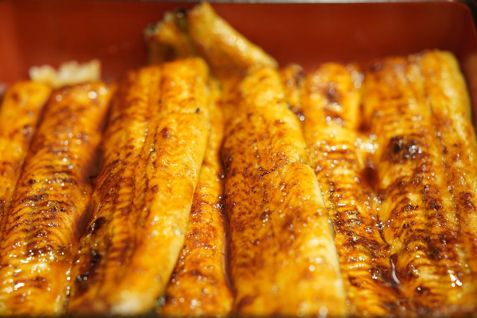 Deliciosas recetas con pescado para toda la familia 4 Recetas con pescado