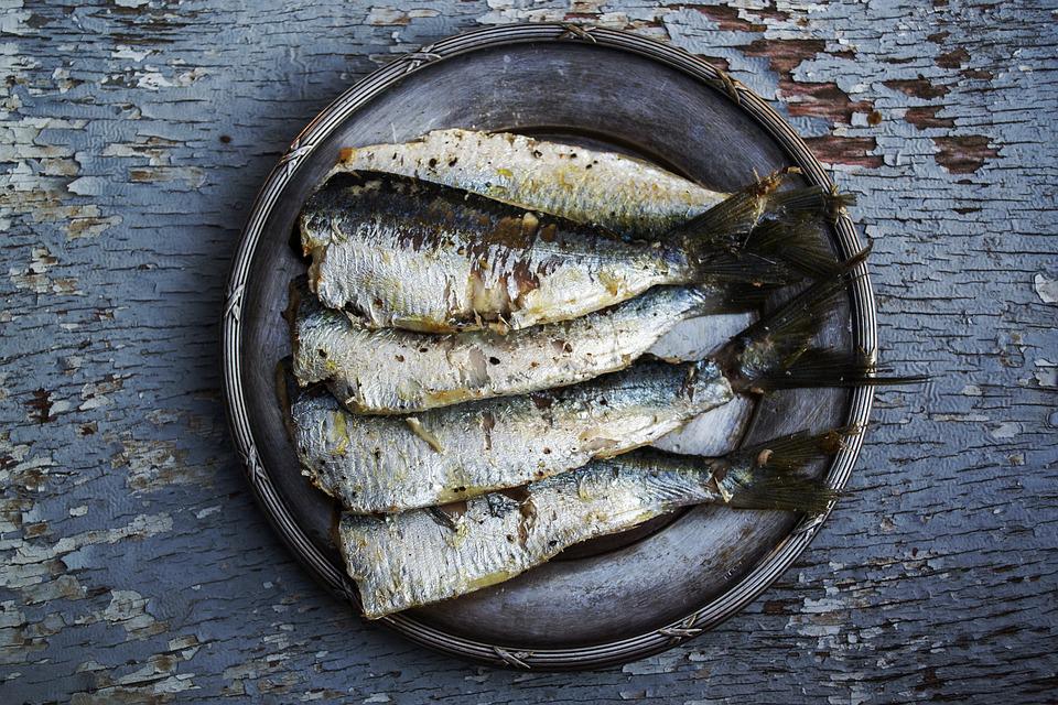 Deliciosas recetas con pescado para toda la familia 5 Recetas con pescado