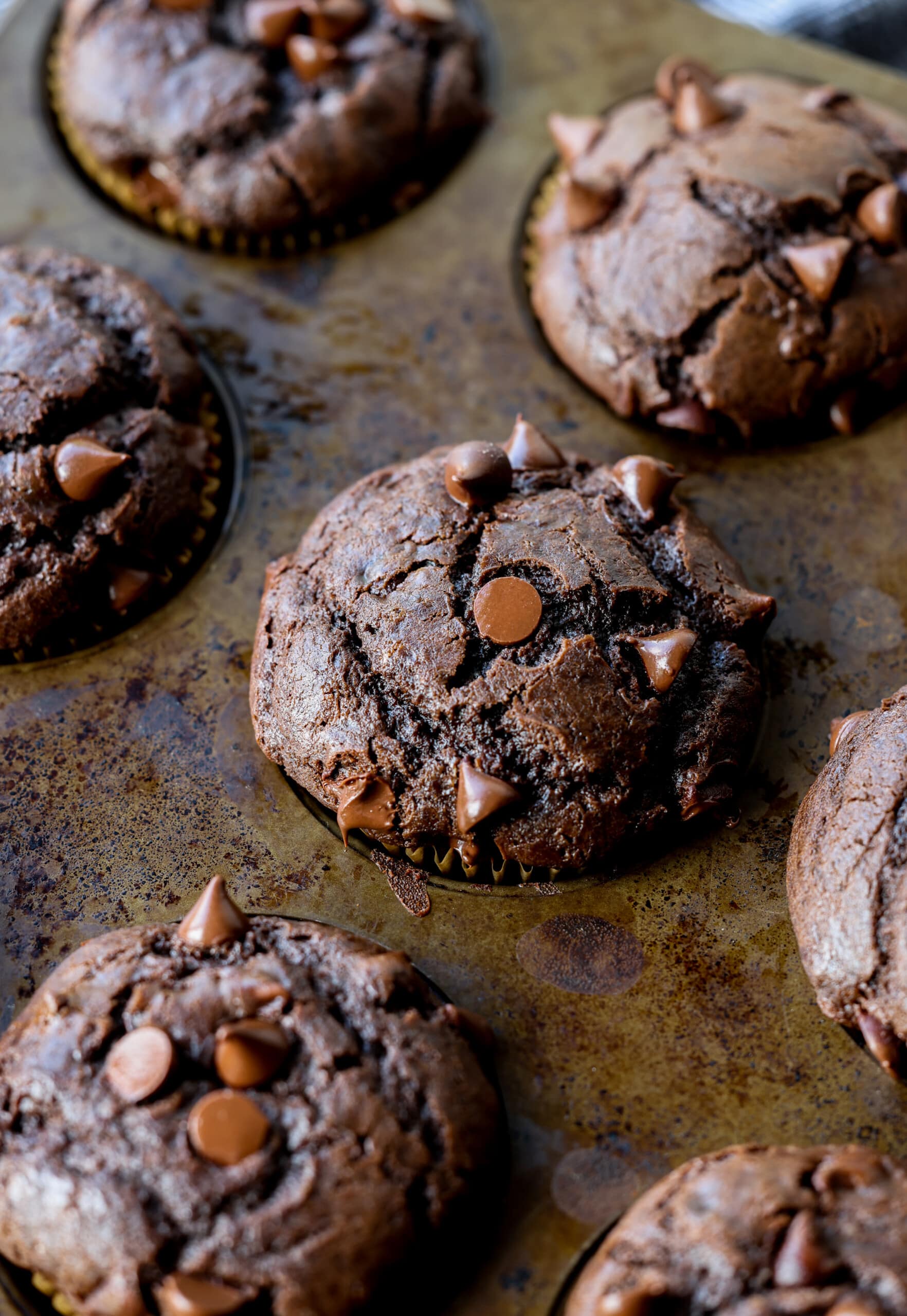 Muffins de chocolate horneados en un molde para muffins