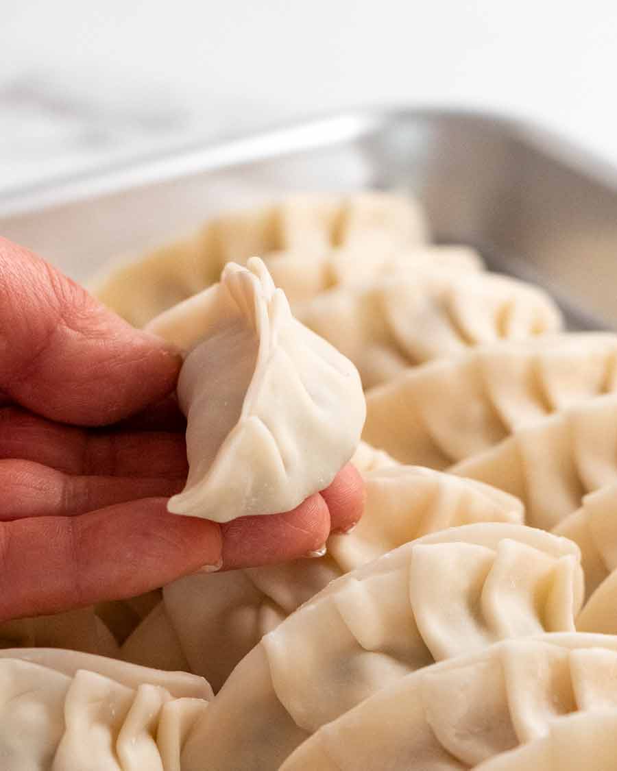 Mano sosteniendo albóndigas de verduras crudas (Potstickers)