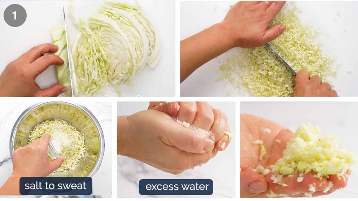 Cómo hacer empanadillas de verduras (Potstickers)