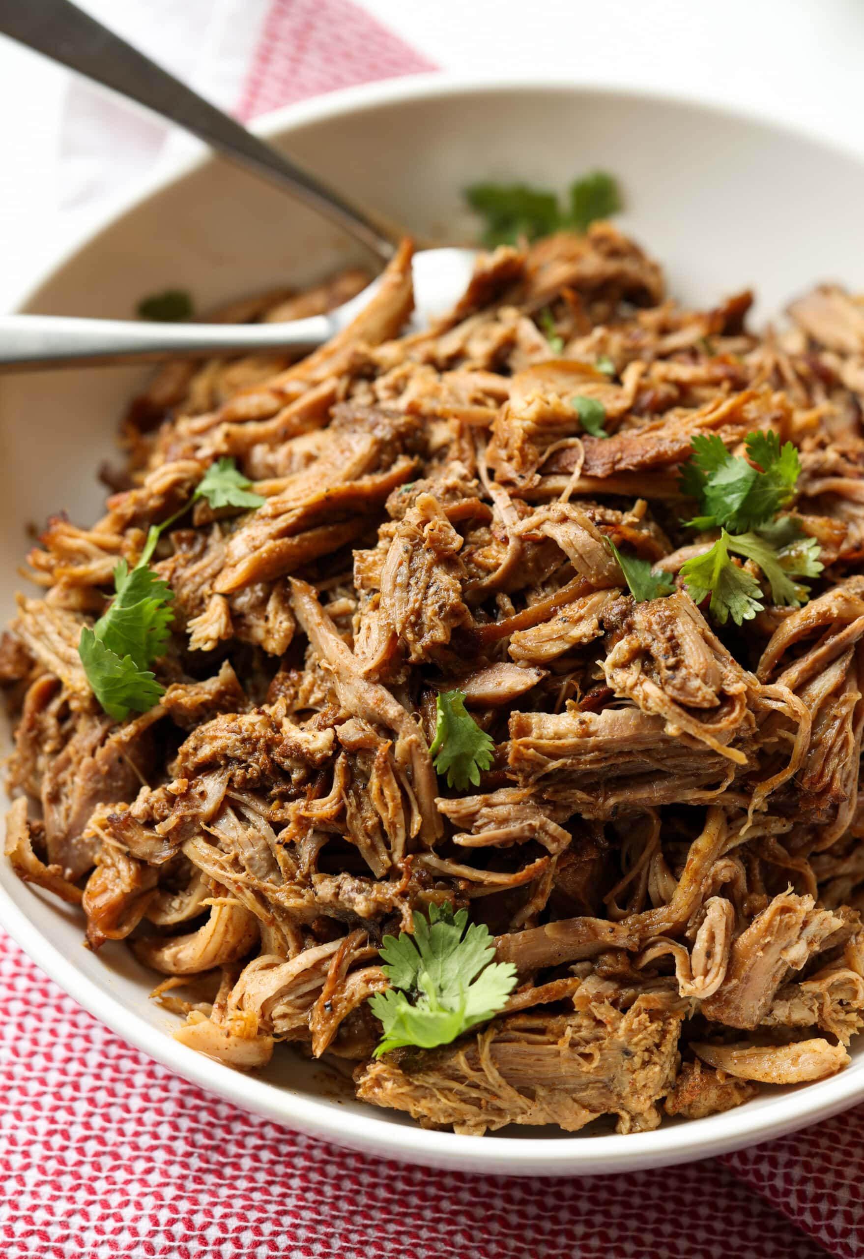 Carnitas de cerdo en un plato adornado con cilantro