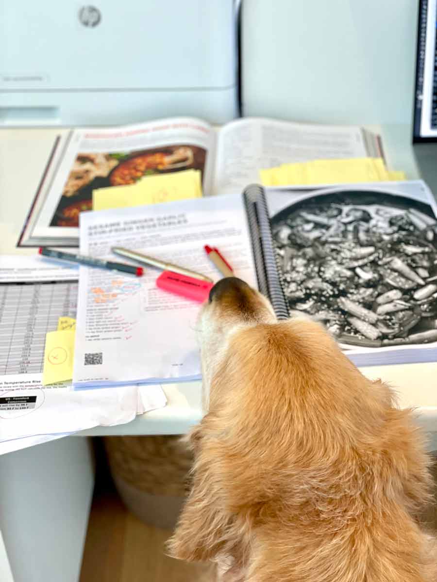 Dozer ayudando con la americanización del libro de cocina RecipeTin Eats "Dinner" de Nagi Maehashi