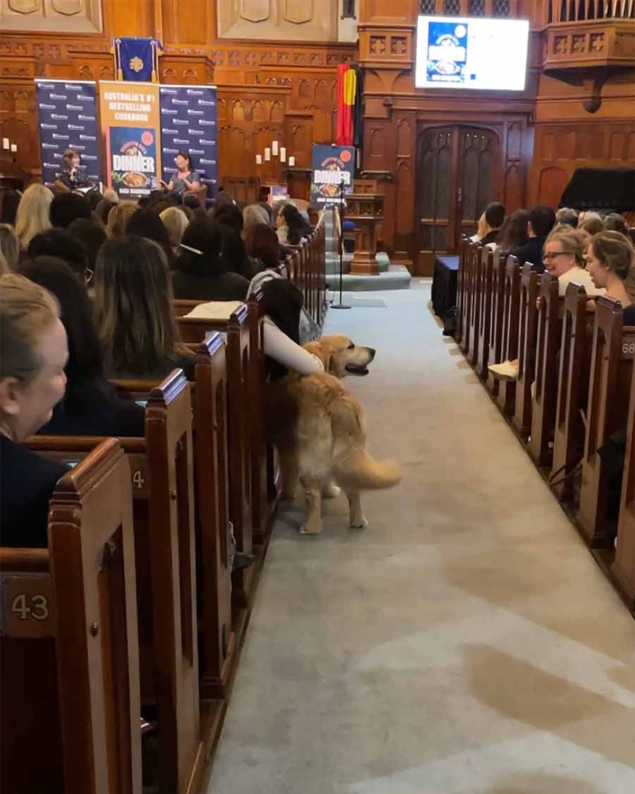 Dozer en el evento de la gira del libro de Kinokuniya