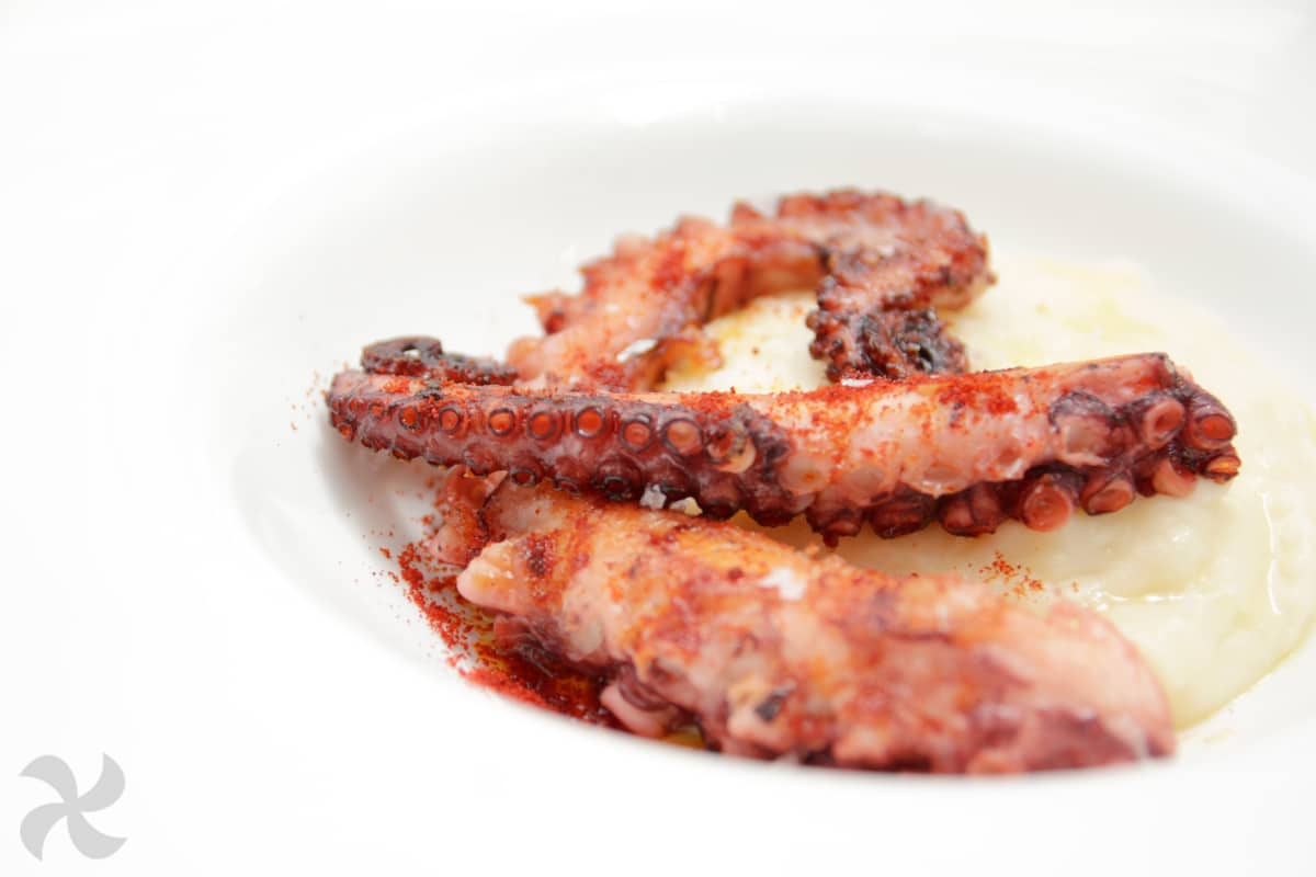 Pulpo a la brasa con pur&eacute; de patatas al parmesano2