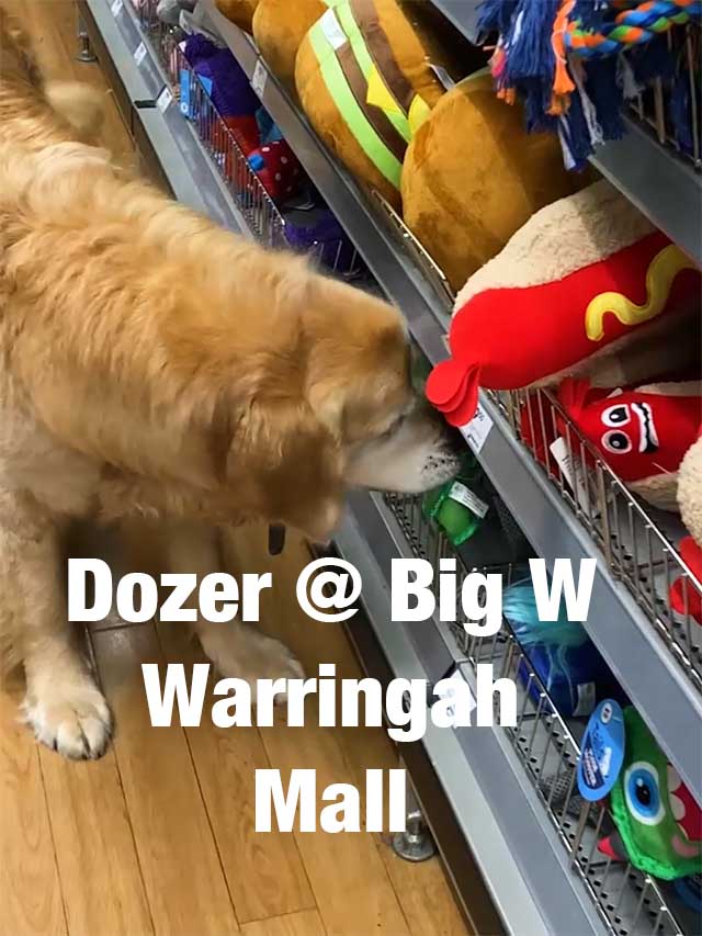 Dozer @ Big W Warringah – Detrás de escena