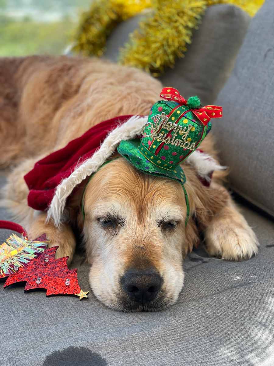Selfie navideño de Nagi Dozer 2022