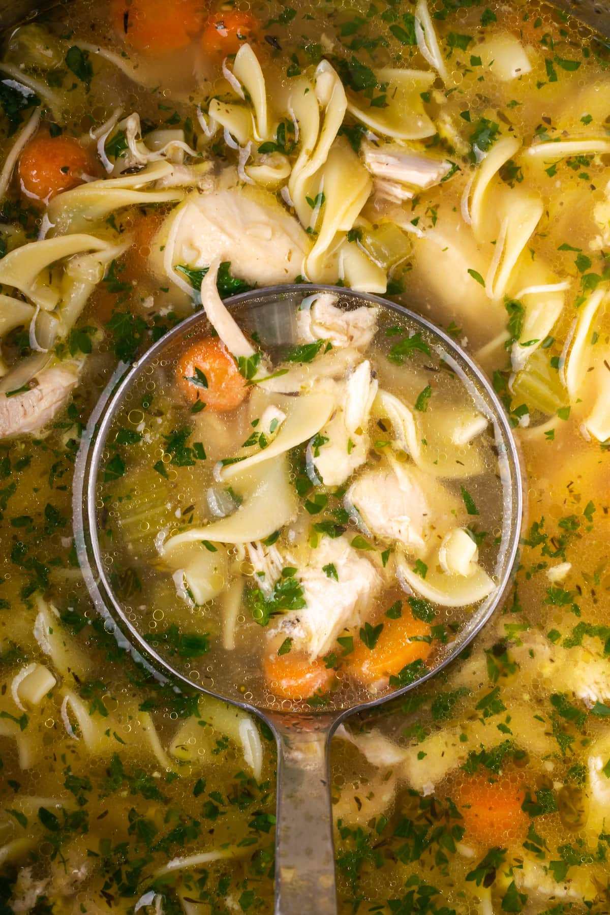 Instant Pot Chicken Noodle Soup es un atajo rápido y fácil para un alimento reconfortante favorito. Rebosante de ingredientes clásicos y toneladas de sabor. Cierre la vista aérea de un cucharón sumergido en una olla de sopa de fideos con pollo Instant Pot.
