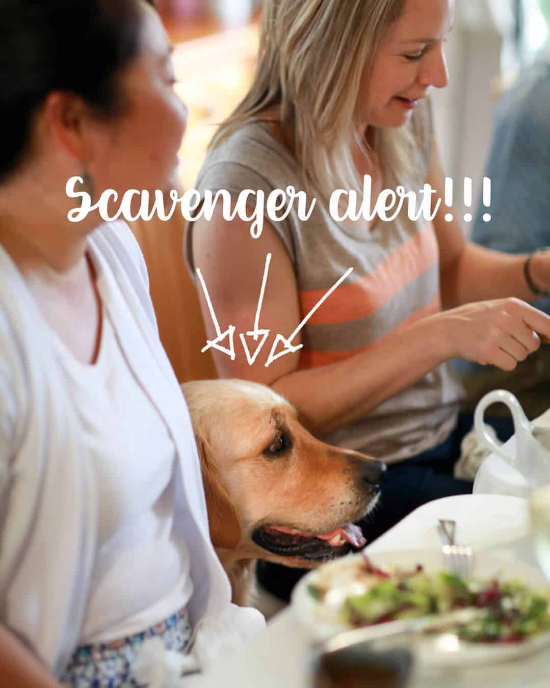 dozer-asado-de-cordero-almuerzo_1