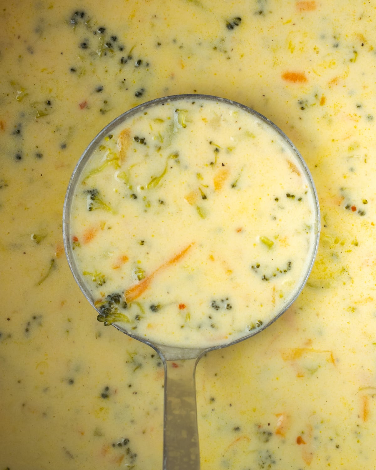 Vista aérea de un cucharón lleno de sopa instantánea de brócoli y queso cheddar sostenida sobre una olla de sopa.