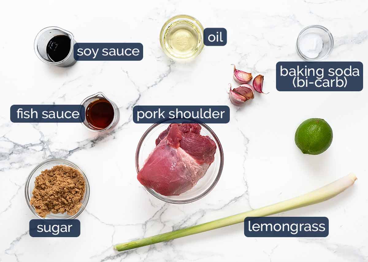 Ingredientes de los fideos vietnamitas con cerdo al limoncillo (Bún thịt nướng)