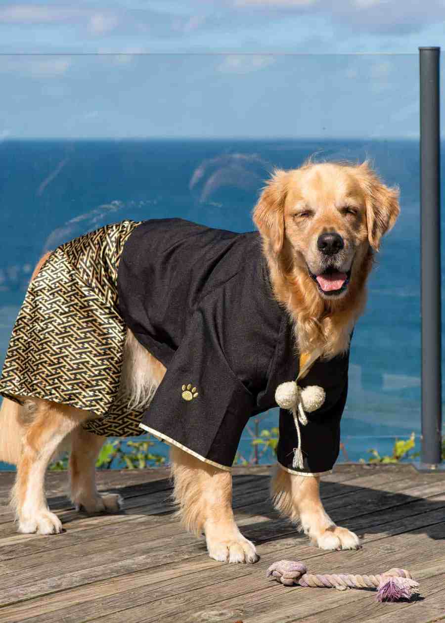 Dozer kimono de Japón Tokio Harajuku - lindo traje de perro
