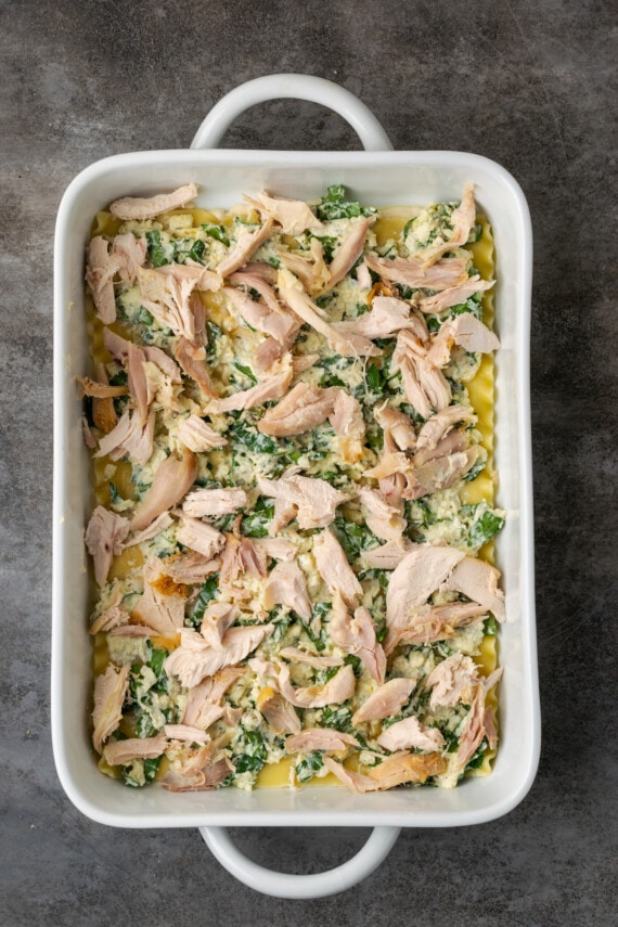 Lasaña de pollo cremosa rebosante de capas de pollo jugoso, fideos tiernos y una salsa blanca casera sedosa con mucho derretido queso. Lasaña de pollo parcialmente ensamblada ensamblada en una cacerola.