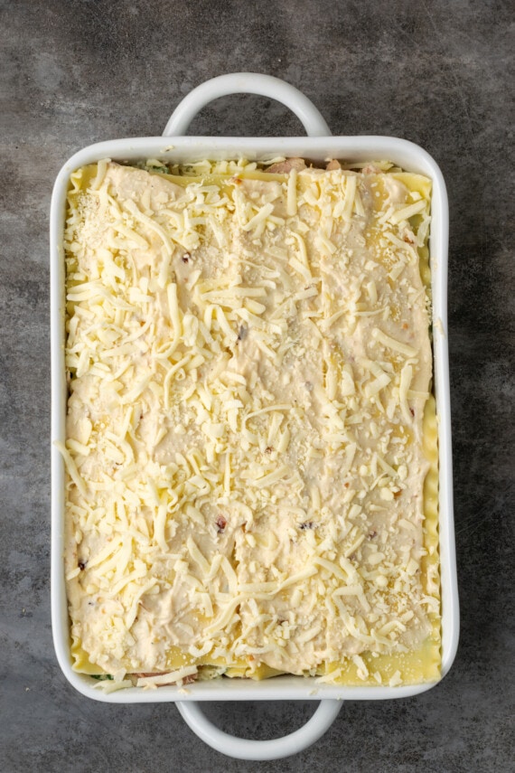Lasaña cremosa de pollo rebosante de capas de pollo jugoso, fideos tiernos y salsa blanca casera sedosa con abundante queso derretido. Lasaña de pollo montada en una cazuela.