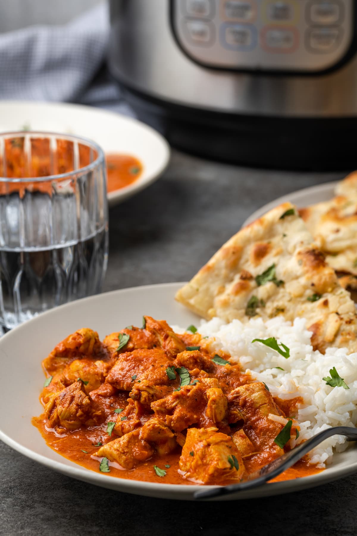 Pollo instantáneo a la mantequilla servido en un plato junto a una guarnición de arroz basmati y naan, con la olla instantánea al fondo.