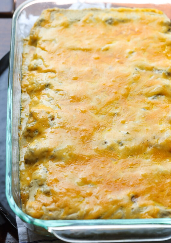 enchiladas de pollo en una fuente para hornear directamente del horno con queso derretido encima