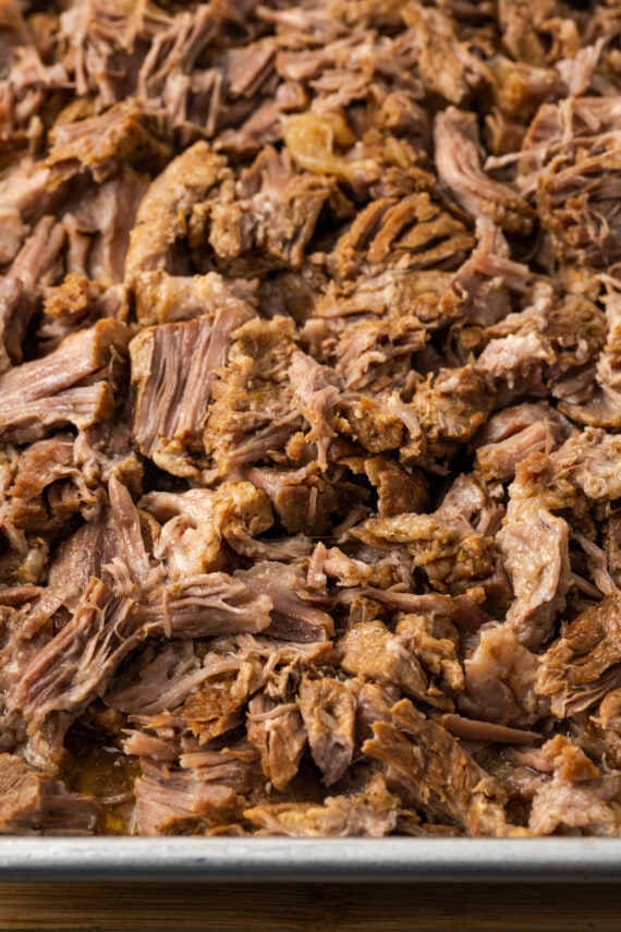 ¡Esta receta de Instant Pot Carnitas necesita solo 5 minutos de preparación! Haga carnitas increíblemente tiernas, jugosas y crujientes para tacos de cerdo y más. Cerdo desmenuzado en una bandeja para hornear de metal.