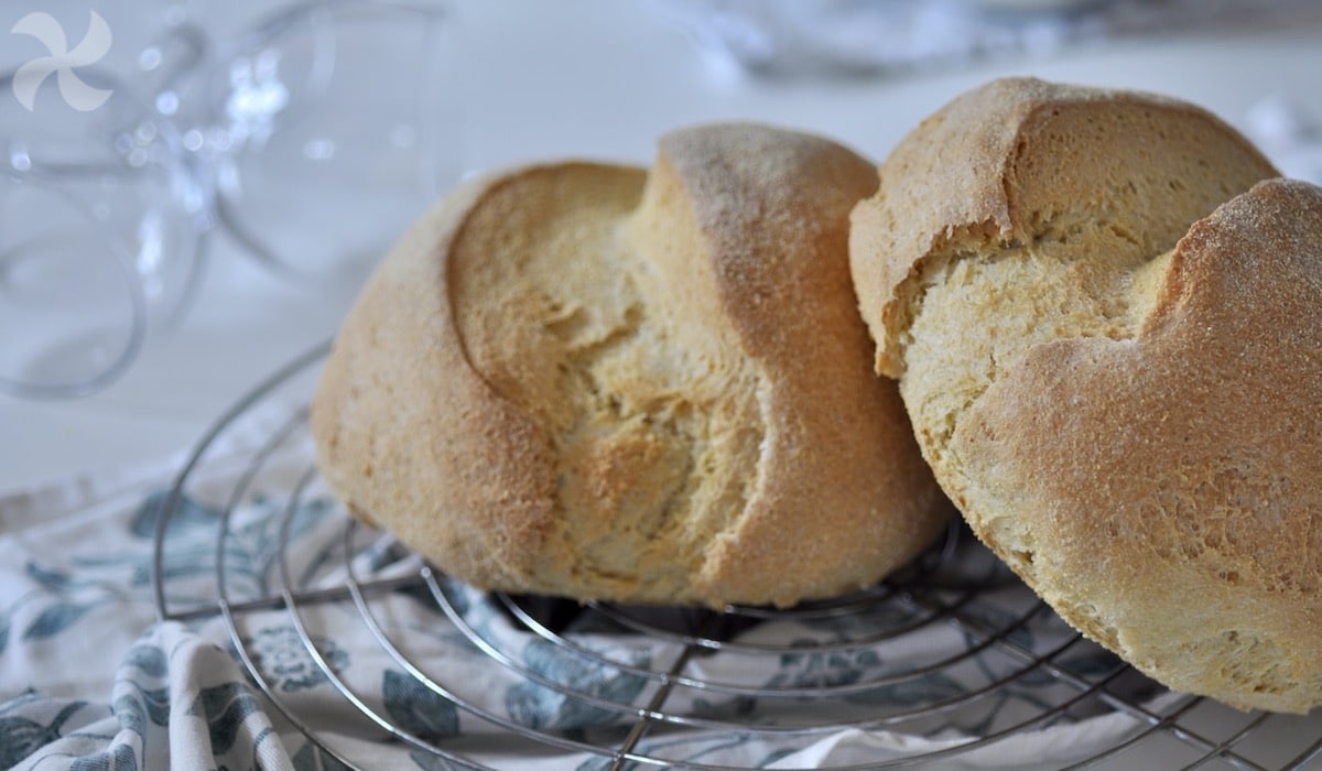 Pan de trigo y maíz