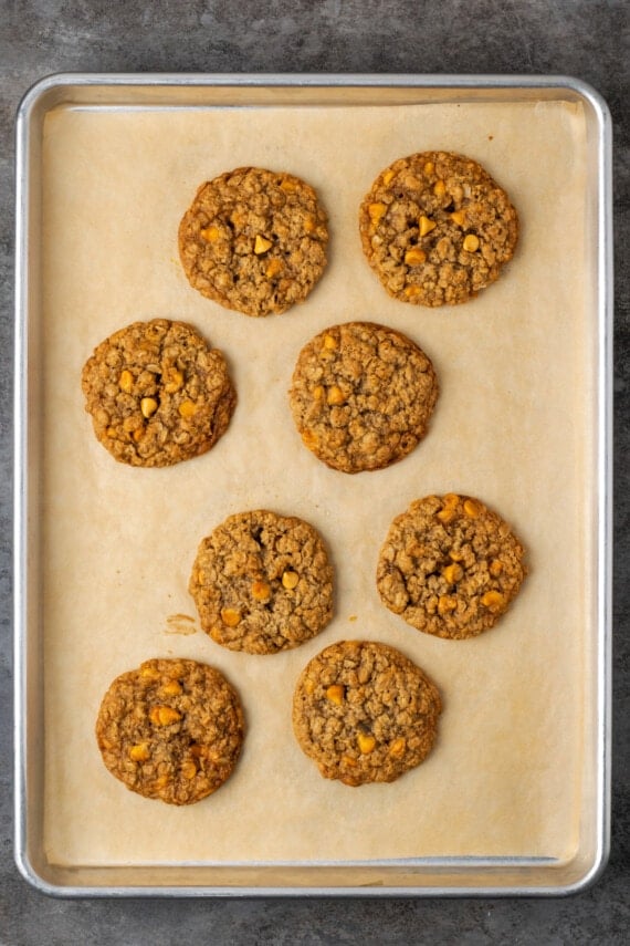Soft and chewy oatmeal butterscotch cookies are rich and buttery, filled with tender oats, butterscotch morsels, and sweet cinnamon spice. Baked oatmeal butterscotch cookies on a parchment-lined baking sheet.
