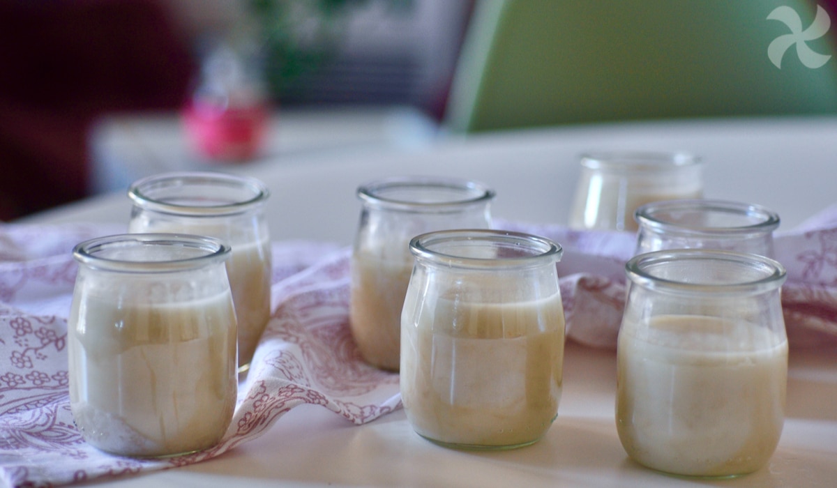 Postre de arroz o arroz con leche vegano