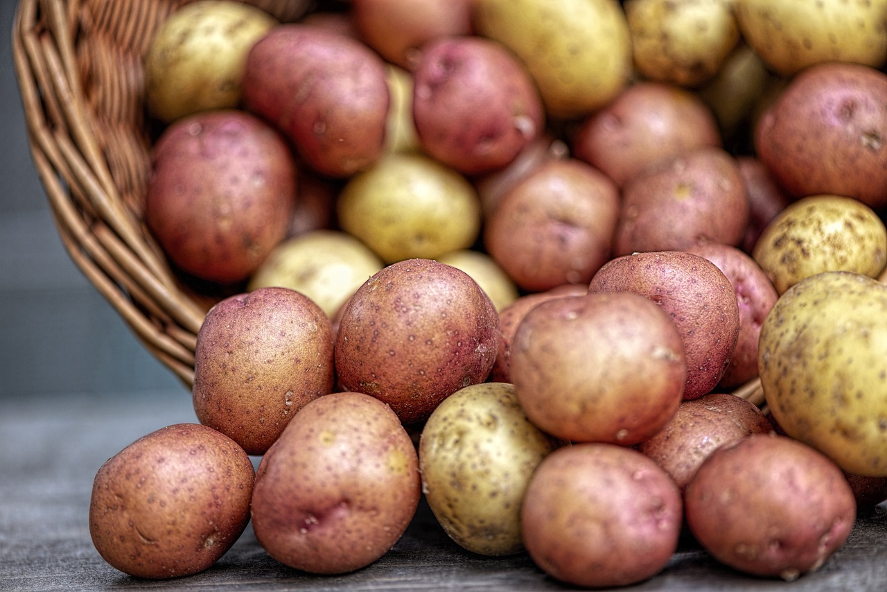 recetas tradicionales