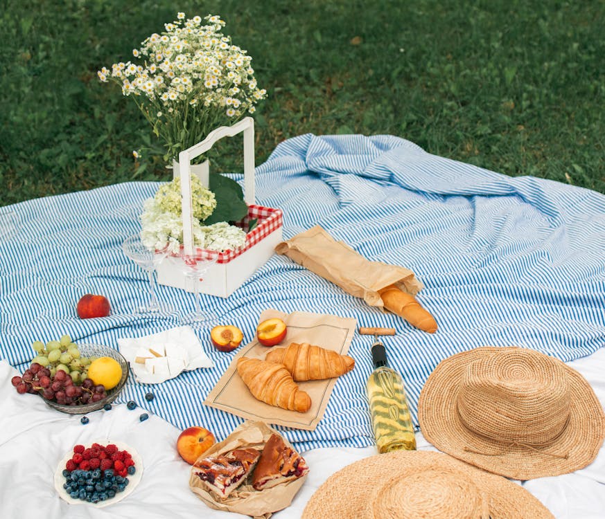 picnics perfectos