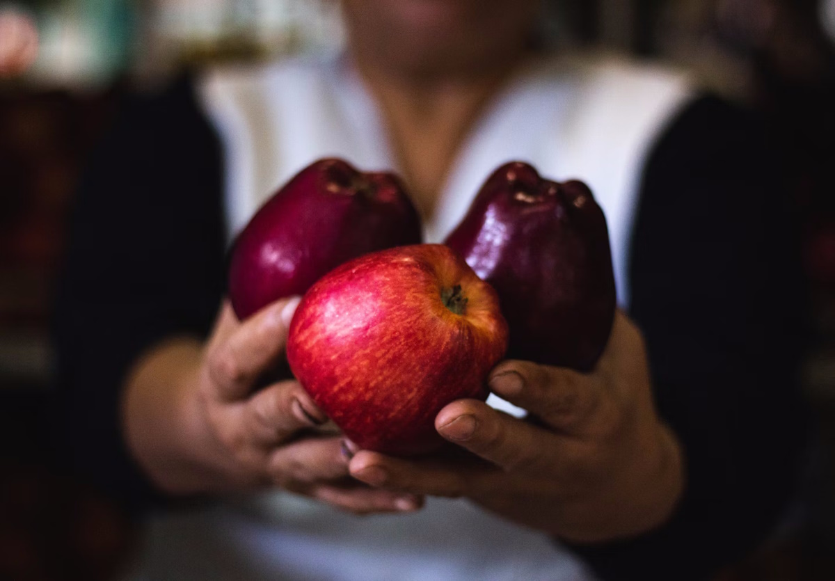 mermelada de manzanas