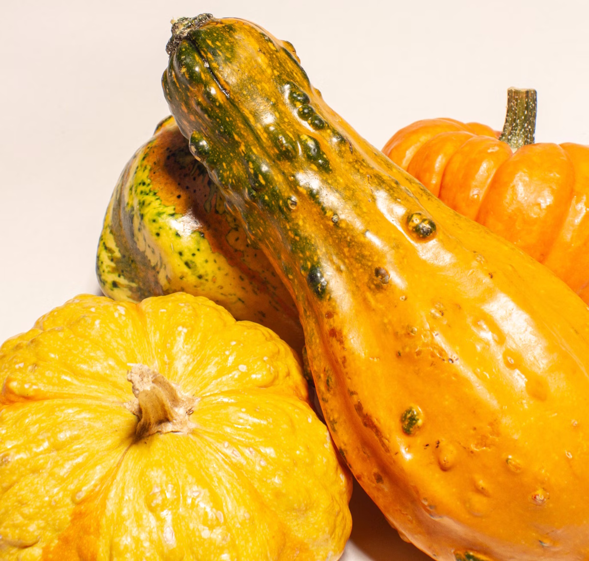 pie de calabaza