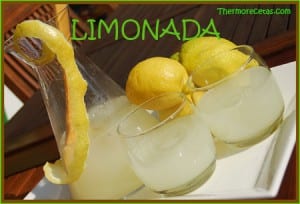 Receta Facil Thermomix Limonada