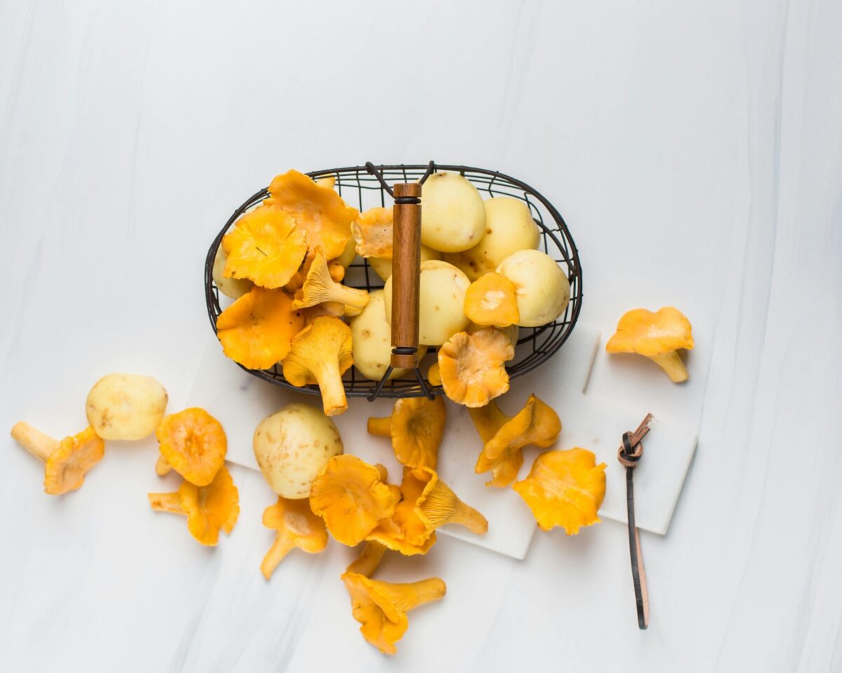 Recetas y Trucos con Setas