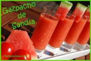 Receta facil thermomix gazpacho de sandía