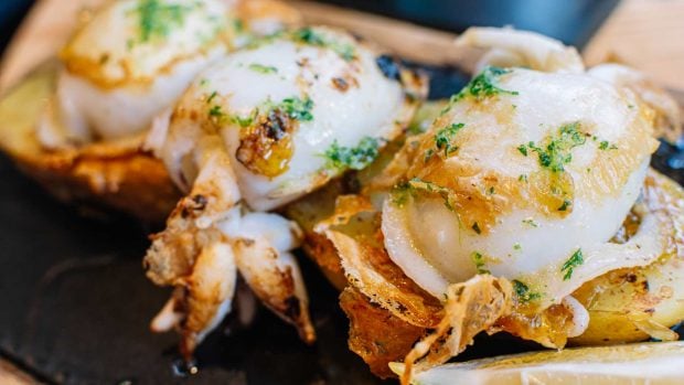 Recetas con sepia