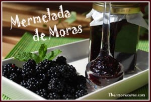 Receta thermomix mermalada de moras