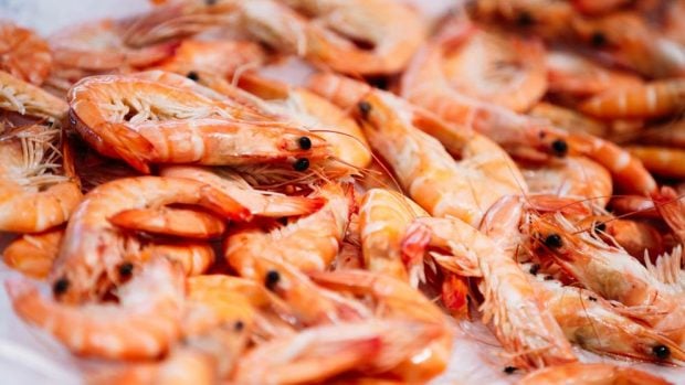 Salpicón de pulpo: receta fresca con langostinos y mejillones paso a paso