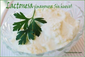 receta thermomix Lactonesa