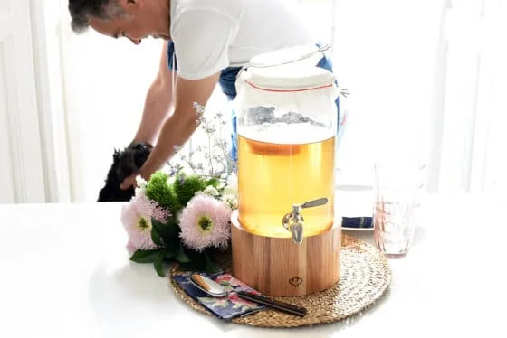 Cómo hacer Kombucha en casa