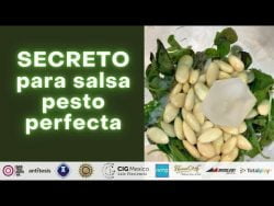 #shorts #RECETA salsa pesto (albahaca, aceite de oliva, almendras) Y SECRETOS de elaboración