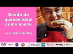 #shorts sando de quesos con cheve bien fría #sanwich #receta #snack